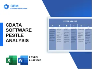 CDATA SOFTWARE PESTEL ANALYSIS