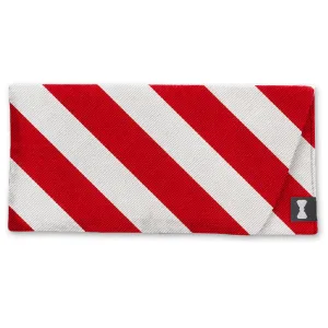Collegiate Red and Silver - Eyeglass Cases
