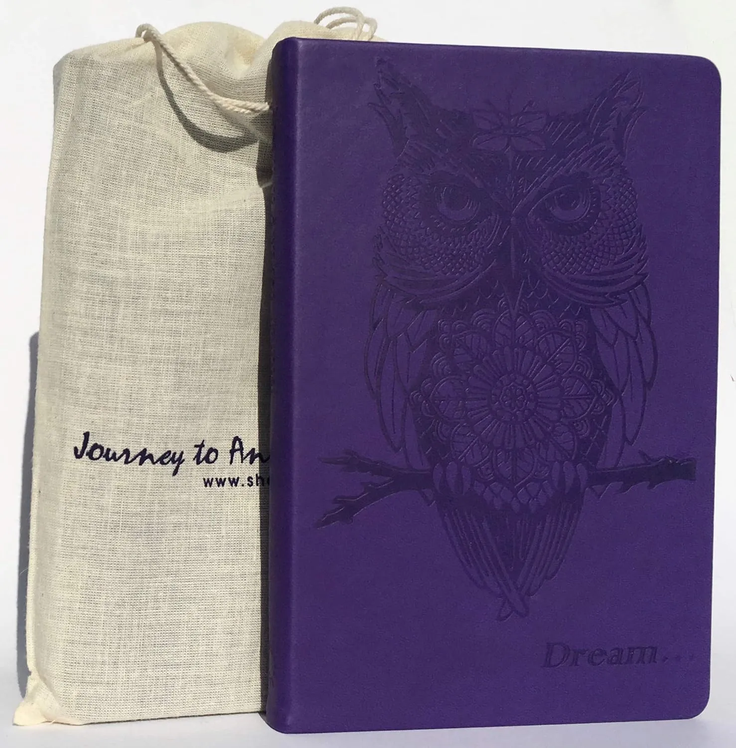 Dream To Awaken Owl Grimoire Journal | Blank Book of Shadows Journal | Witch Planner | Gift for Wiccan, Pagan, Mystic, Alchemist, Dreamer, Goddess | Vegan Leather Spell Book Blank | Hardcover | 5 3/4" x 8 1/2" Office Product