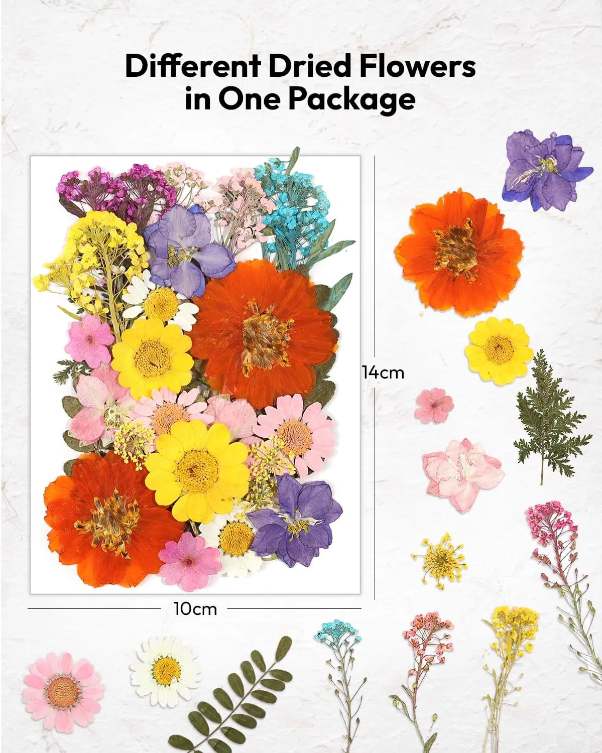 Dried Flowers, Resiners 174Pcs Pressed Flowers for Craft Colorful Real Natural Dried Flowers Dry Leaves Kit for DIY Making Crafts Resin Soap Candle Scrapbook Supplies Card Making Jewelry