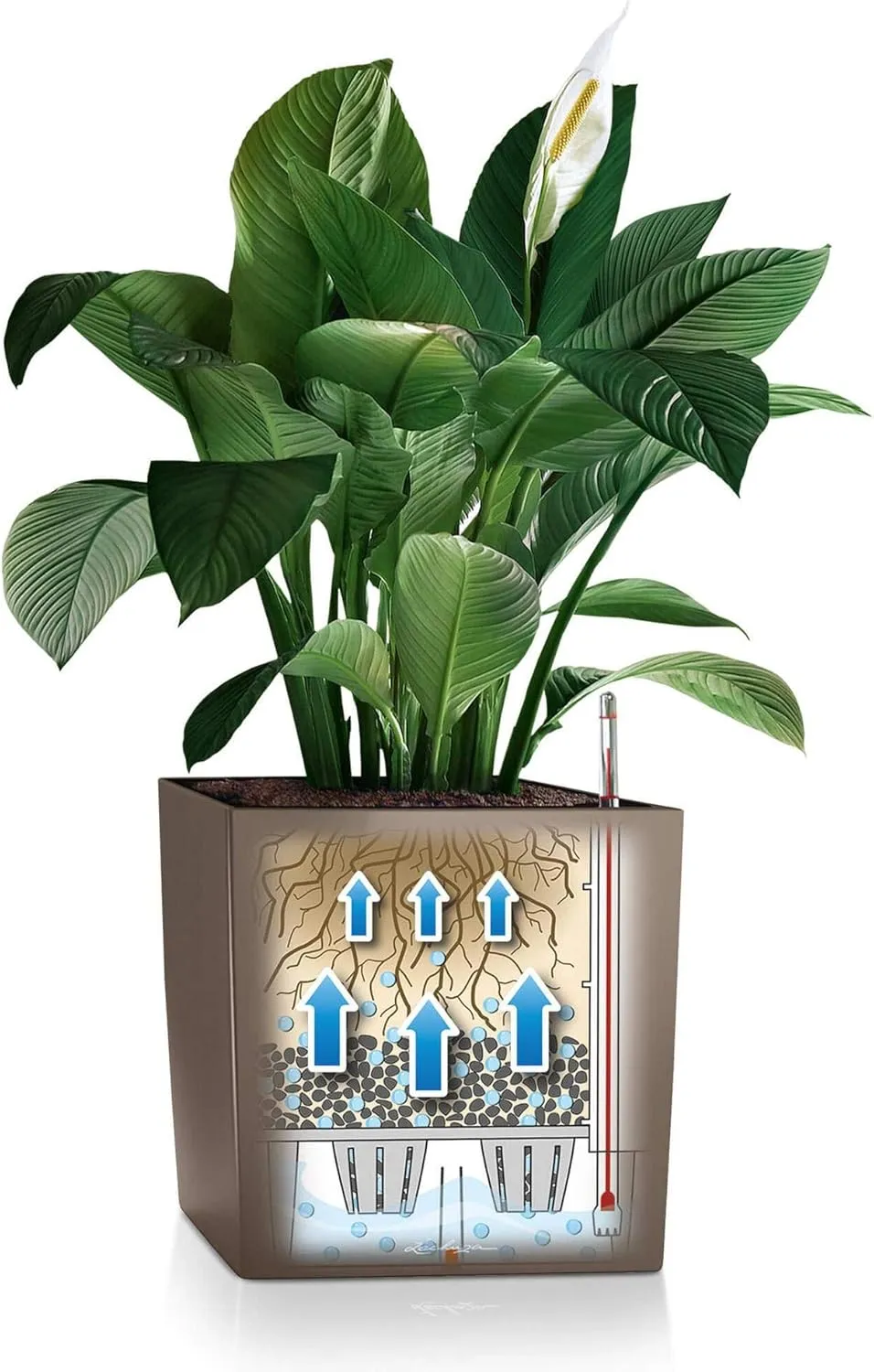 Lechuza Cube 40 Medium Flower Indoor/Outdoor Garden Floor Self-Watering Planter with Drainage Hole with Plant Substrate Contemporary Poly-Resin D40 H40 L40 W40 cm Red 3.37 Kg