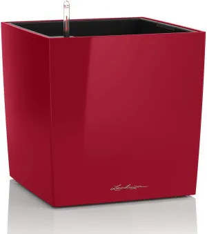 Lechuza Cube 40 Medium Flower Indoor/Outdoor Garden Floor Self-Watering Planter with Drainage Hole with Plant Substrate Contemporary Poly-Resin D40 H40 L40 W40 cm Red 3.37 Kg