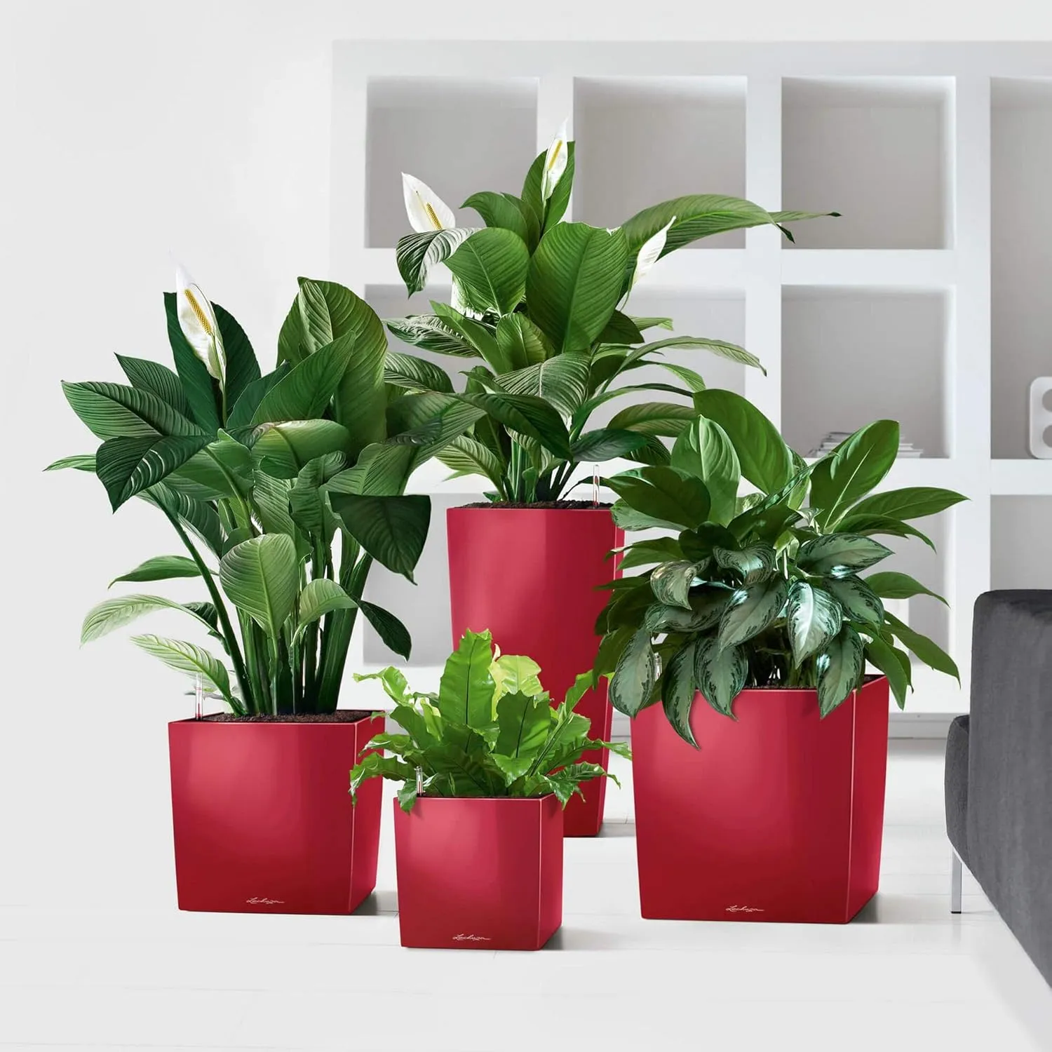 Lechuza Cube 40 Medium Flower Indoor/Outdoor Garden Floor Self-Watering Planter with Drainage Hole with Plant Substrate Contemporary Poly-Resin D40 H40 L40 W40 cm Red 3.37 Kg