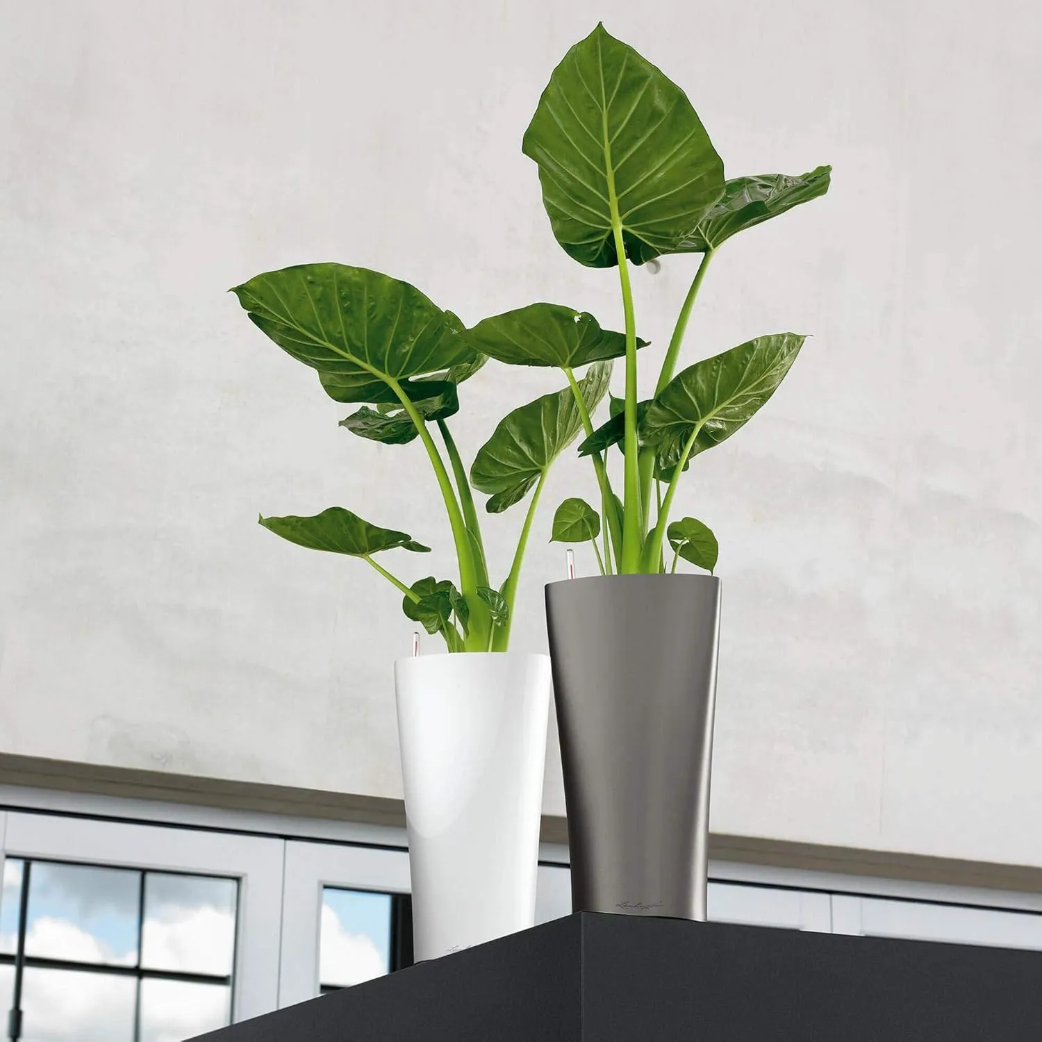 Lechuza Delta 40 Self Watering Planter Large Garden Flower Plant Pot Indoor/Outdoor Floor with Planter Drainage Hole and Plant Substrate Poly Resin D40 H75 cm Scarlet Red High-Gloss