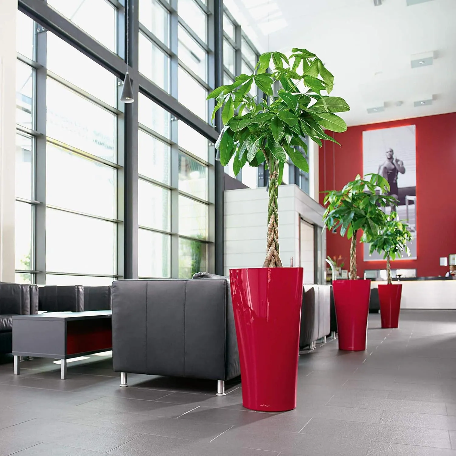 Lechuza Delta 40 Self Watering Planter Large Garden Flower Plant Pot Indoor/Outdoor Floor with Planter Drainage Hole and Plant Substrate Poly Resin D40 H75 cm Scarlet Red High-Gloss
