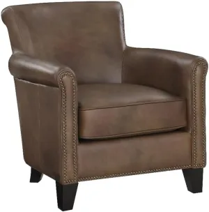 Lexicon Braintree 20.5" Traditional Plywood and Leather Accent Chair in Brown