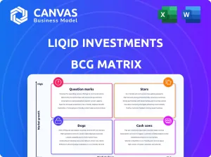 LIQID INVESTMENTS BCG MATRIX