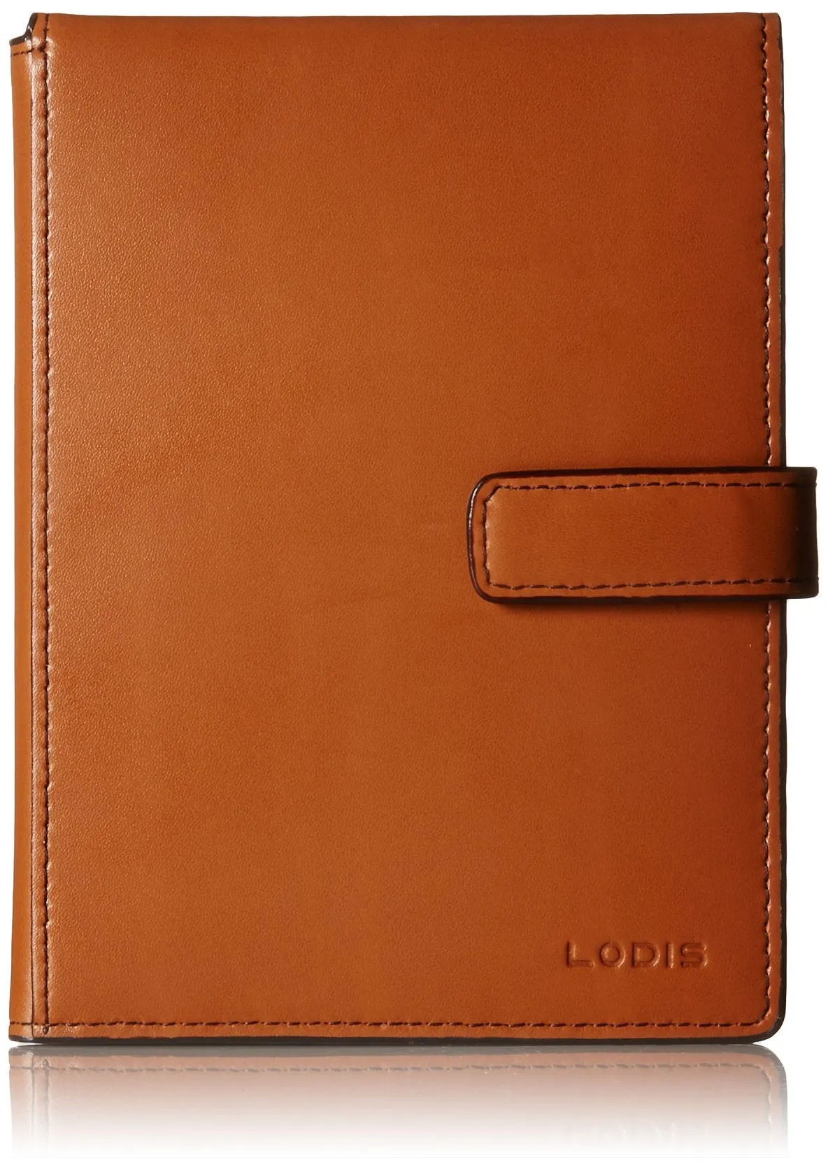Lodis Audrey Passport Wallet with Ticket Flap
