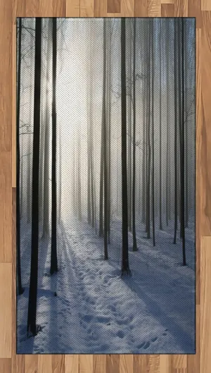 Lunarable Forest Area Rug, Thin Snow Covered Path in Misty Winter Forest with Morning Sun Image Print, Flat Woven Accent Rug for Living Room Bedroom Dining Room, 2' 6" x 5', White and Dark Brown