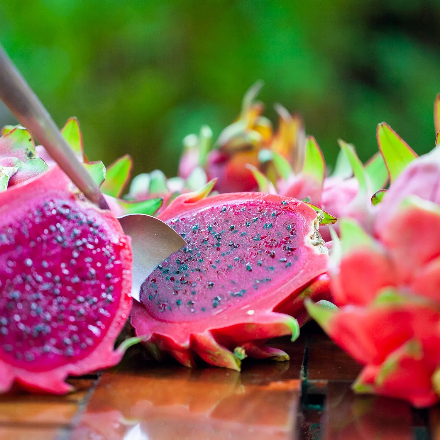 Organic Dragon Fruit Smoothie Packs Case