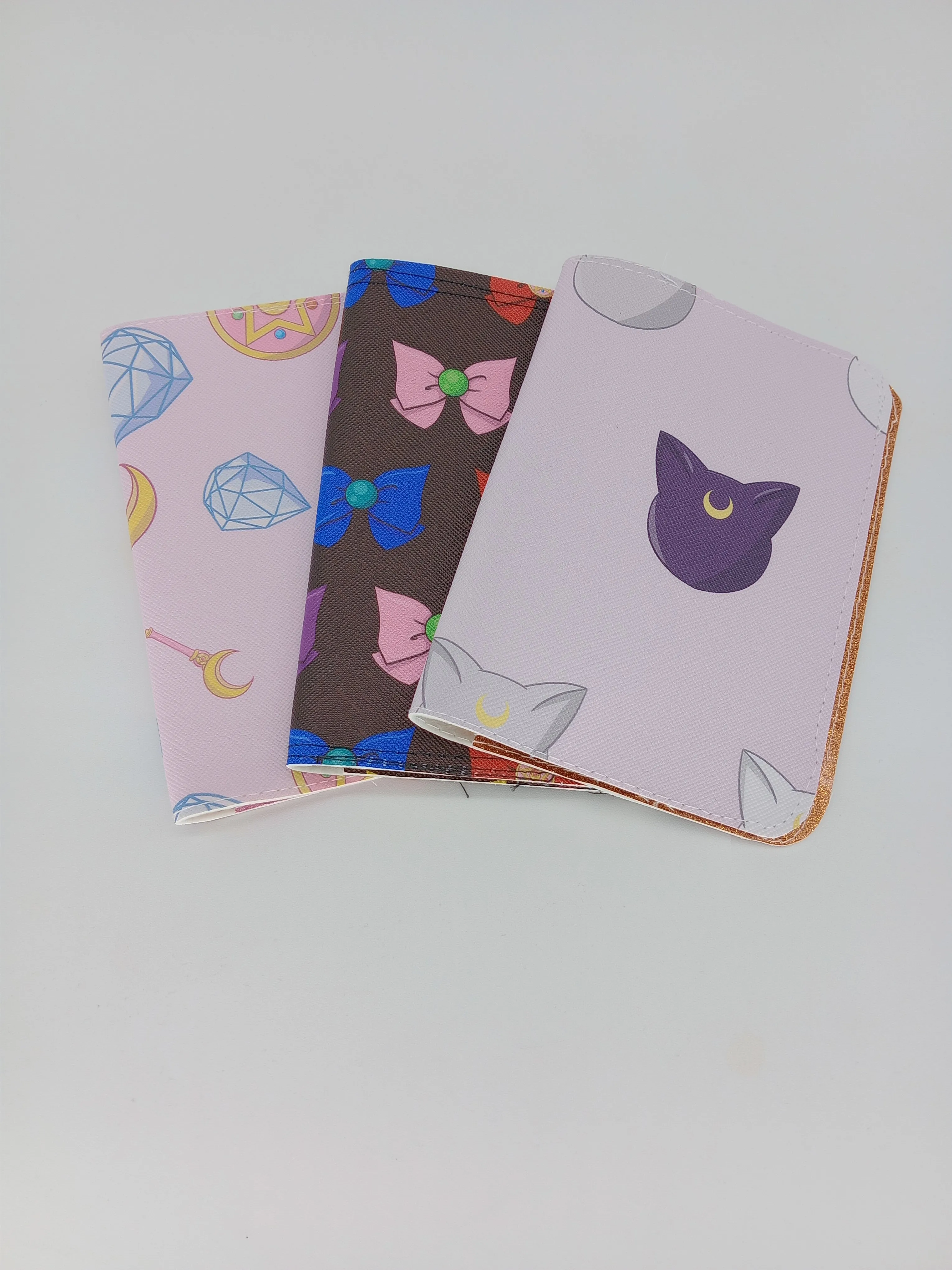 passport holders (anime)