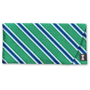 Riverside Green - Eyeglass Cases
