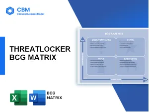 THREATLOCKER BCG MATRIX