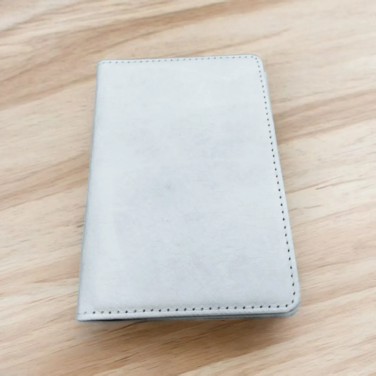 Tyvek Paper Passport Holder 09