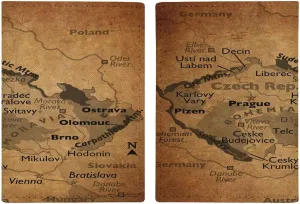 Vintage Maps of Argentina Passport Protector,Passport Case for Men And Women Pu Leather Wallet Bifold