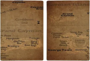 Vintage Maps of Chile Passport Protector,Passport Case for Men And Women Pu Leather Wallet Bifold