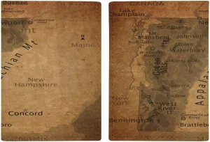 Vintage Maps of Connecticut Passport Protector,Passport Case for Men And Women Pu Leather Wallet Bifold