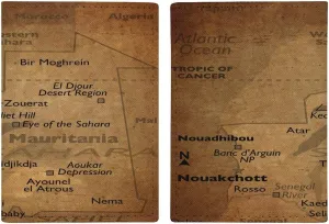 Vintage Maps of Georgia Passport Protector,Passport Case for Men And Women Pu Leather Wallet Bifold