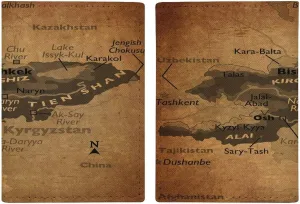 Vintage Maps of Panama Passport Protector,Passport Case for Men And Women Pu Leather Wallet Bifold