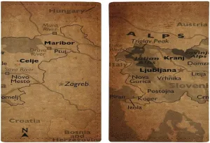 Vintage Maps of Singapore Passport Protector,Passport Case for Men And Women Pu Leather Wallet Bifold